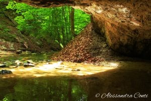 First Light After Darkness: Birth