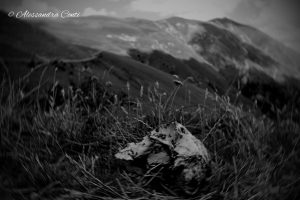 Life & Death, Indissoluble Binomial